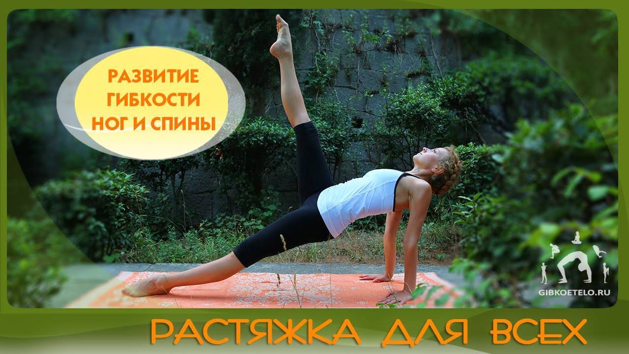 Комплекс упражнений для развития гибкости: основные правила, эффективные комплексы