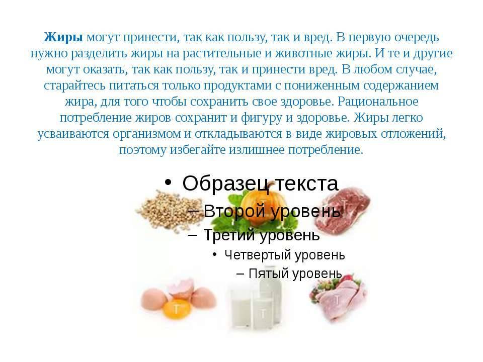 Жиры в организме человека — всё, что нужно о них знать
