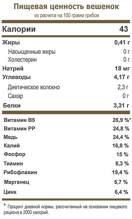 Грибы: химический состав, полезные свойства и вред