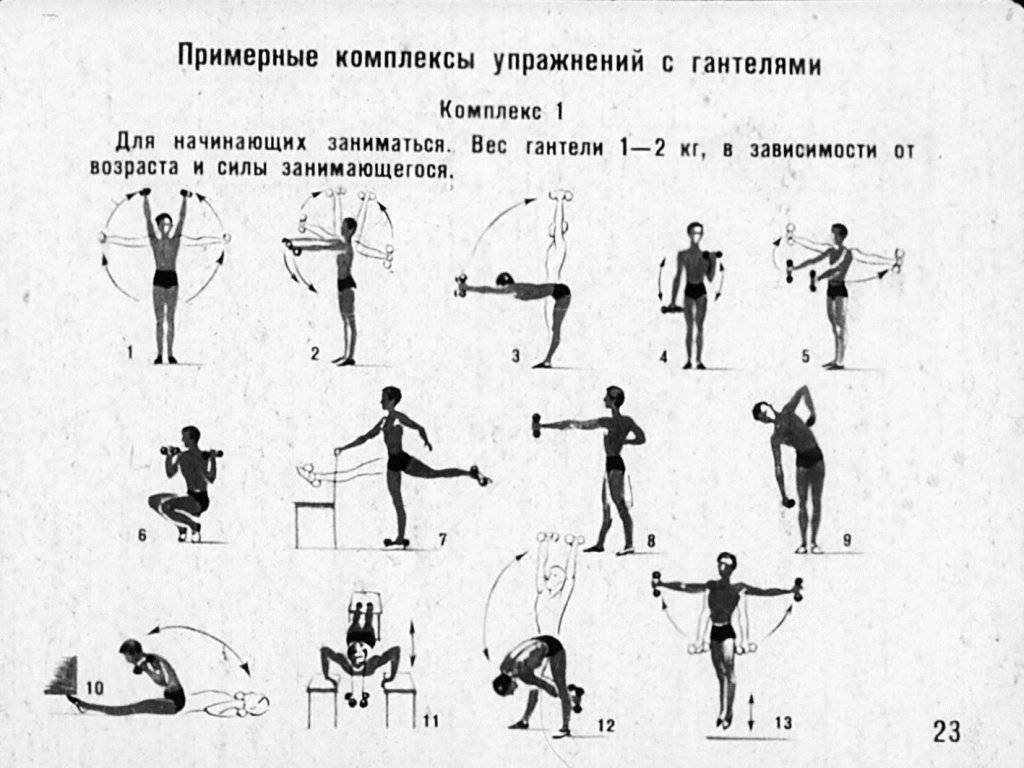 Программа тренировок с гантелями дома
