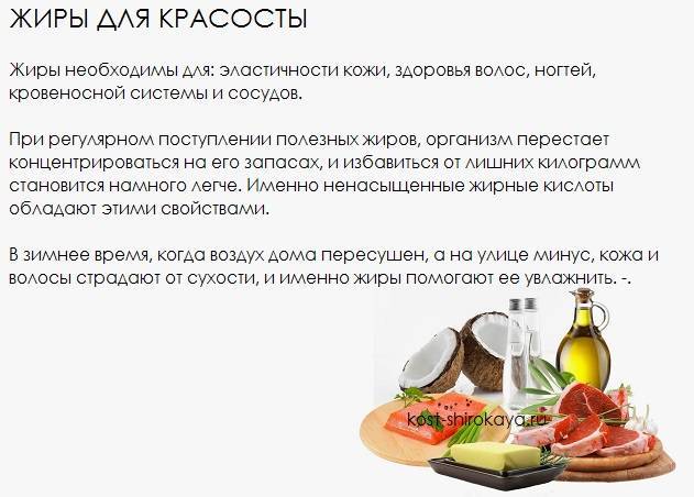 Хорошие и плохие жиры: в чем разница? – lifekorea.ru