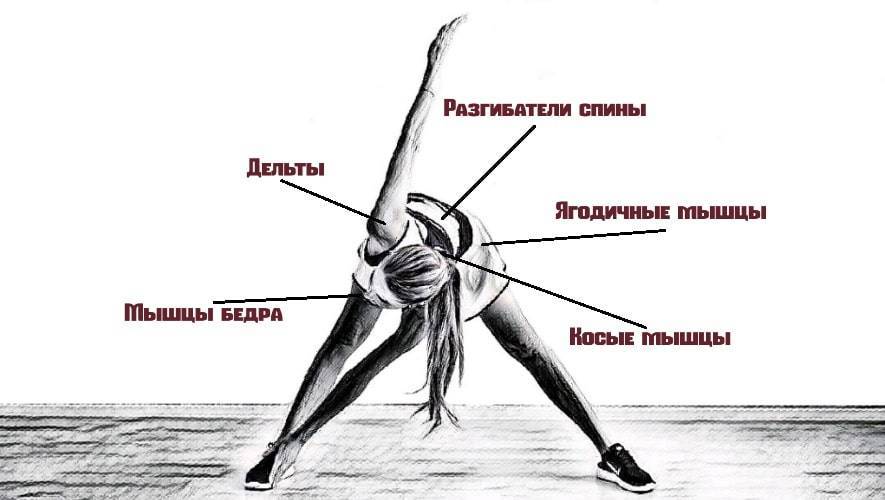 Упражнение мельница