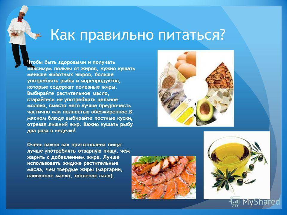 Жирные продукты полезны для здоровья? | столетник