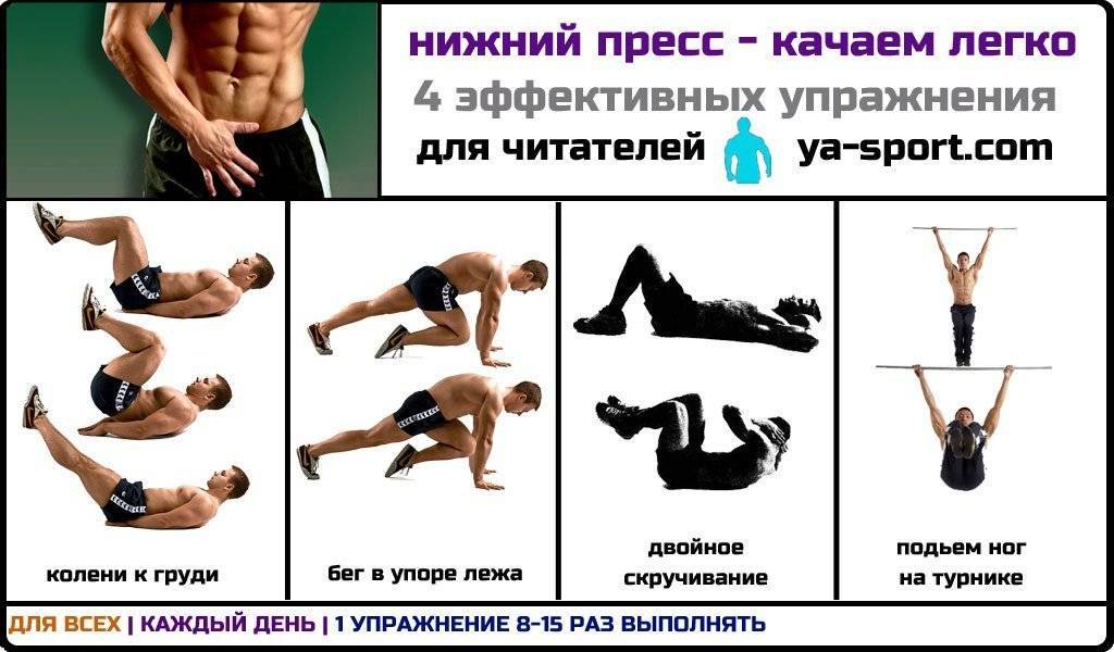 Правила выполнения упражнений на пресс. преимущества накаченного пресса. комплекс эффективных упражнений для пресса без спортивного оборудования и в спортивном зале