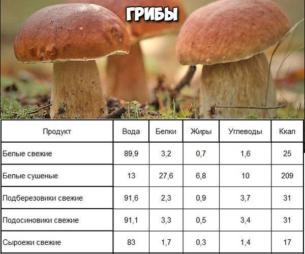 Калорийность грибов